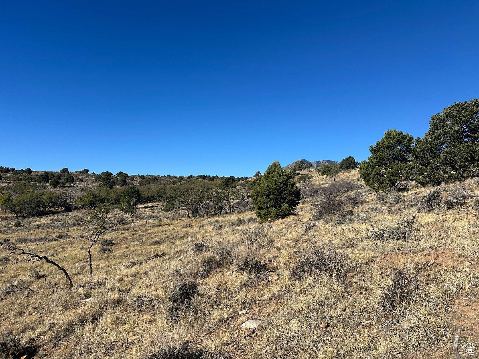 10 Acres of Recreational Land for Sale in Monticello, Utah