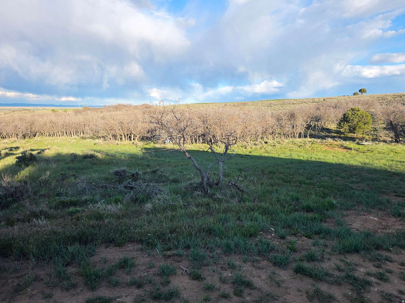 10 Acres of Recreational & Residential Land for Sale in Monticello, Utah