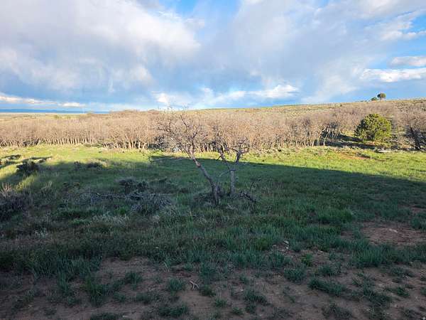 10 Acres of Recreational & Residential Land for Sale in Monticello, Utah