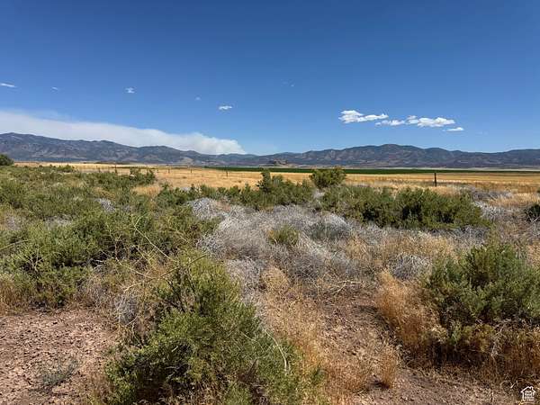 120 Acres of Agricultural Land for Sale in Fillmore, Utah