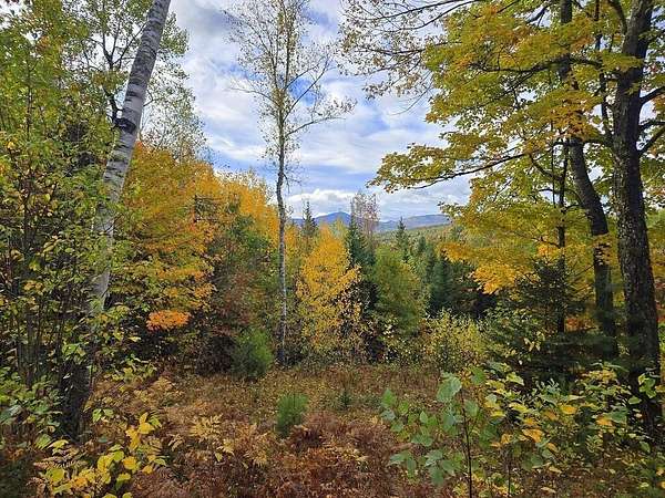 2.8 Acres of Land for Sale in Phillips, Maine