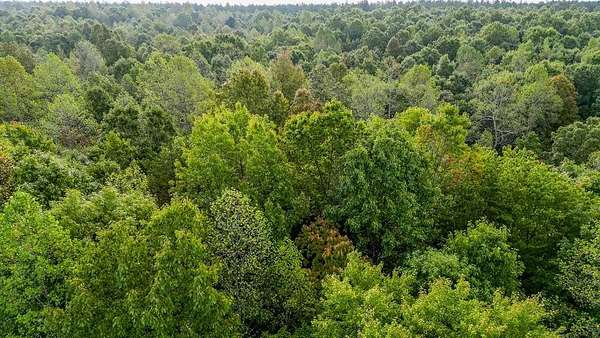 20.4 Acres of Land for Sale in Drakes Branch, Virginia