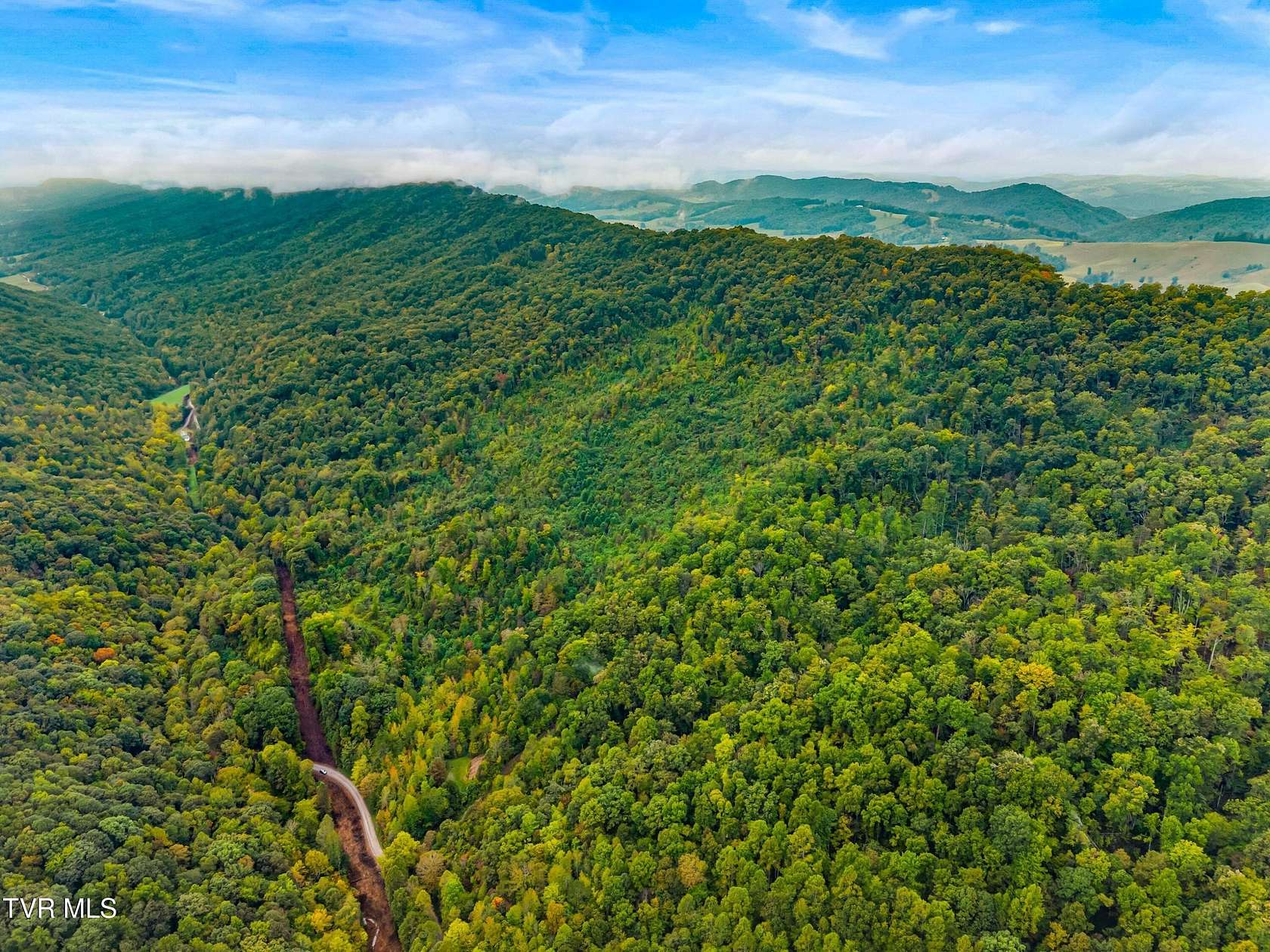 84 Acres of Land for Sale in Sneedville, Tennessee