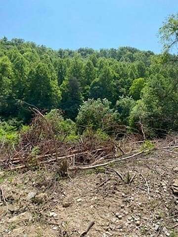 118 Acres of Recreational Land for Sale in Gunlock, Kentucky