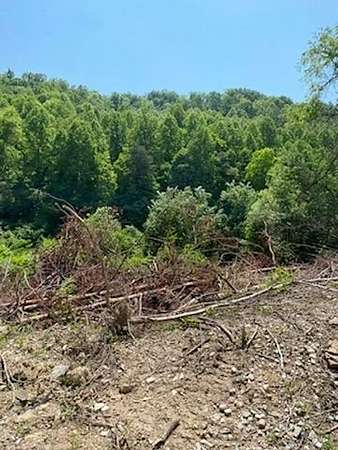 118 Acres of Recreational Land for Sale in Gunlock, Kentucky