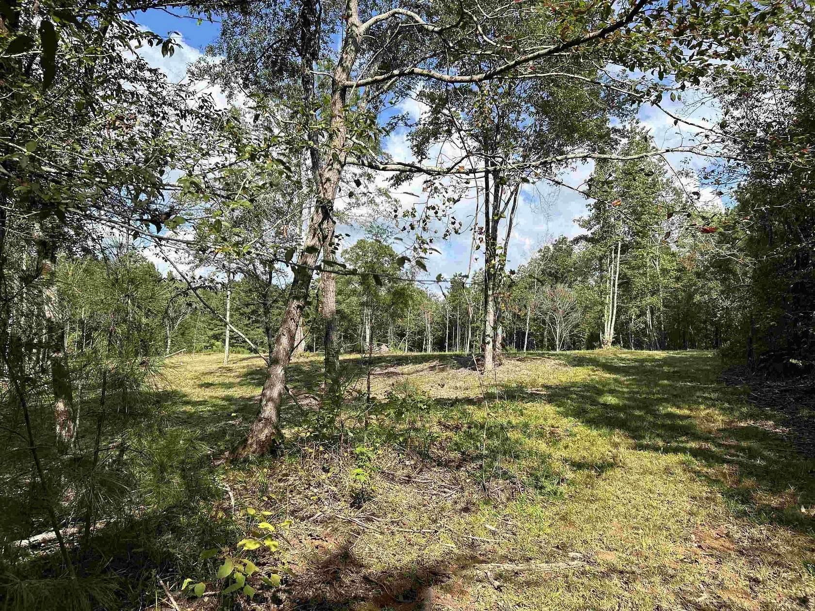 10 Acres of Residential Land for Sale in Arkadelphia, Arkansas