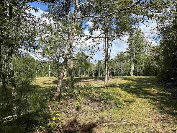 10 Acres of Residential Land for Sale in Arkadelphia, Arkansas