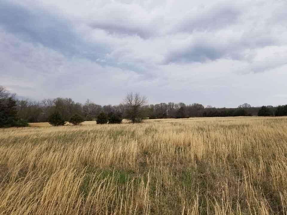 5.5 Acres of Residential Land for Sale in Stockton, Missouri