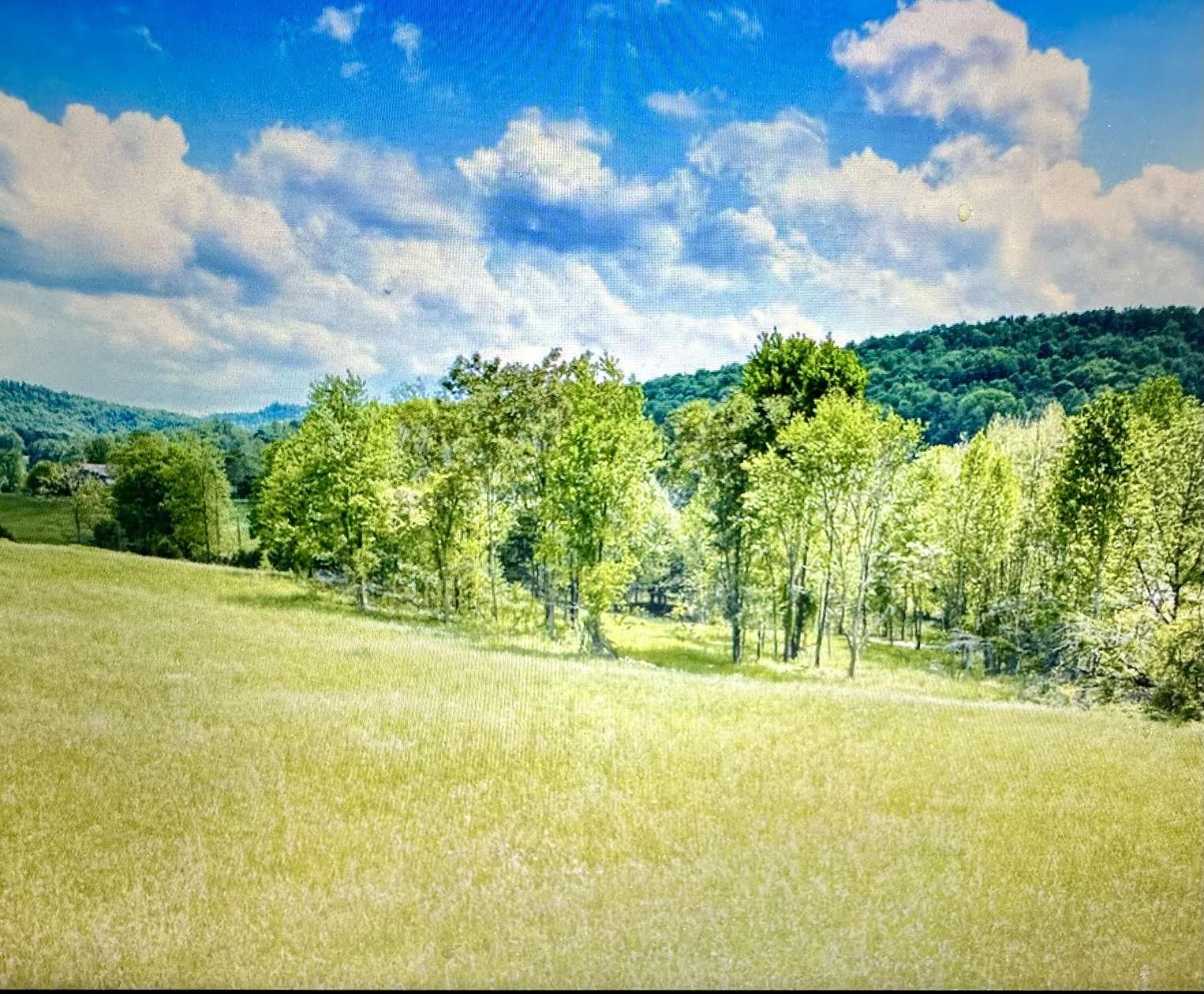 5.1 Acres of Agricultural Land for Sale in Albany, Kentucky
