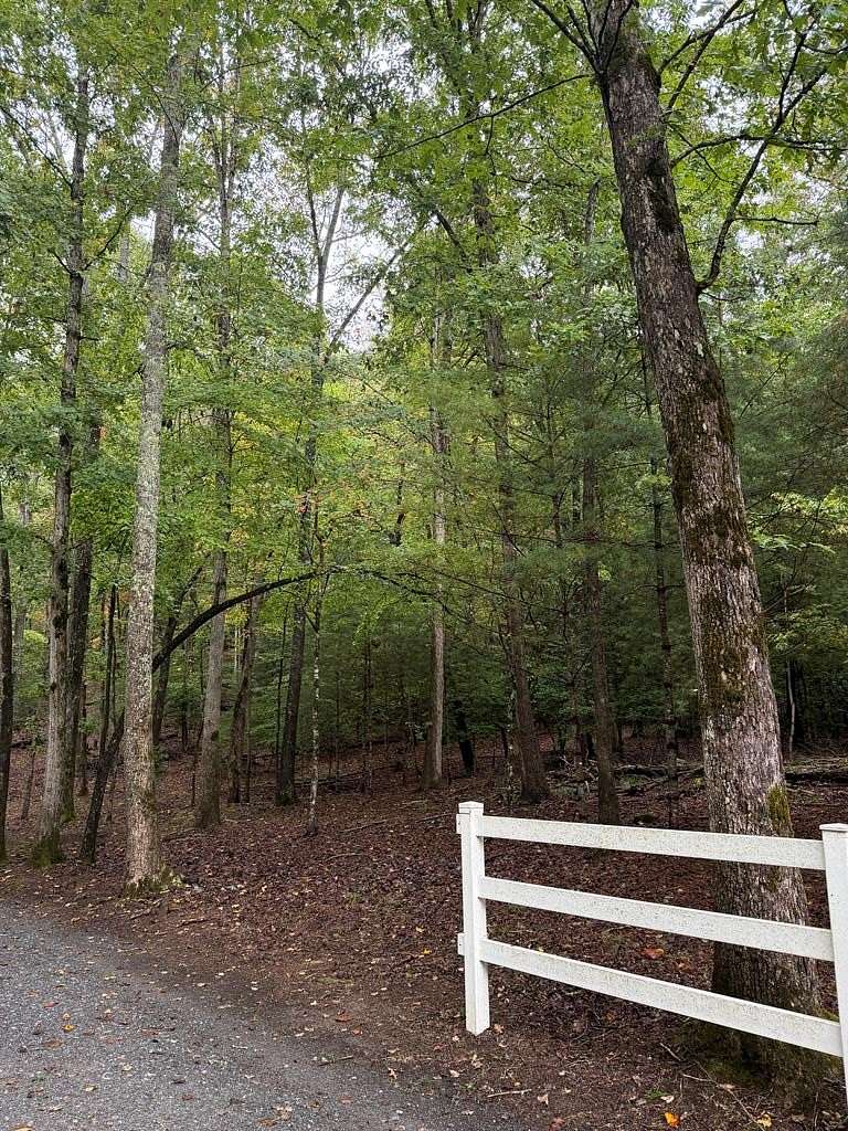 5.1 Acres of Residential Land for Sale in Hayesville, North Carolina
