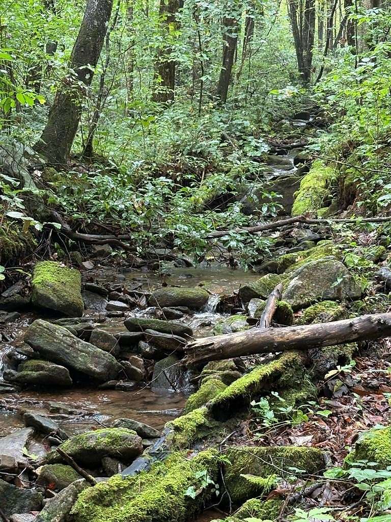 1.2 Acres of Land for Sale in Hayesville, North Carolina