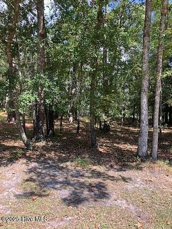 0.36 Acres of Residential Land for Sale in Bolivia, North Carolina