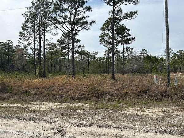 0.4 Acres of Land for Sale in Boiling Spring Lakes, North Carolina