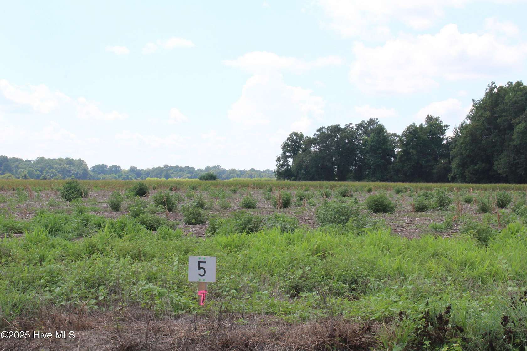 1.67 Acres of Residential Land for Sale in Kinston, North Carolina