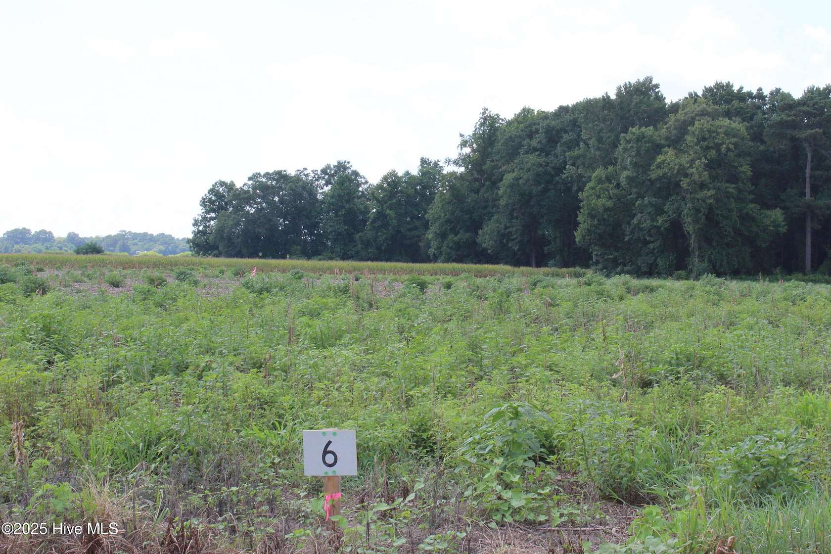 2.13 Acres of Residential Land for Sale in Kinston, North Carolina