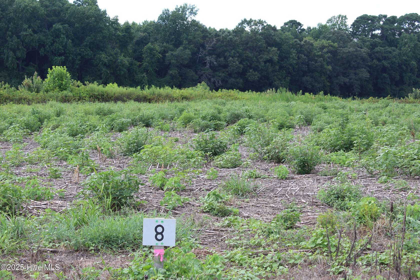 1.88 Acres of Residential Land for Sale in Kinston, North Carolina