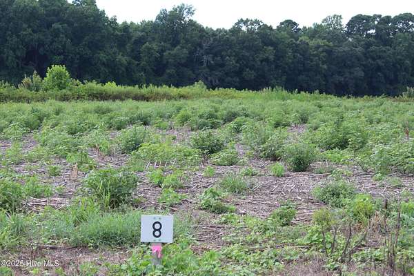 1.88 Acres of Residential Land for Sale in Kinston, North Carolina