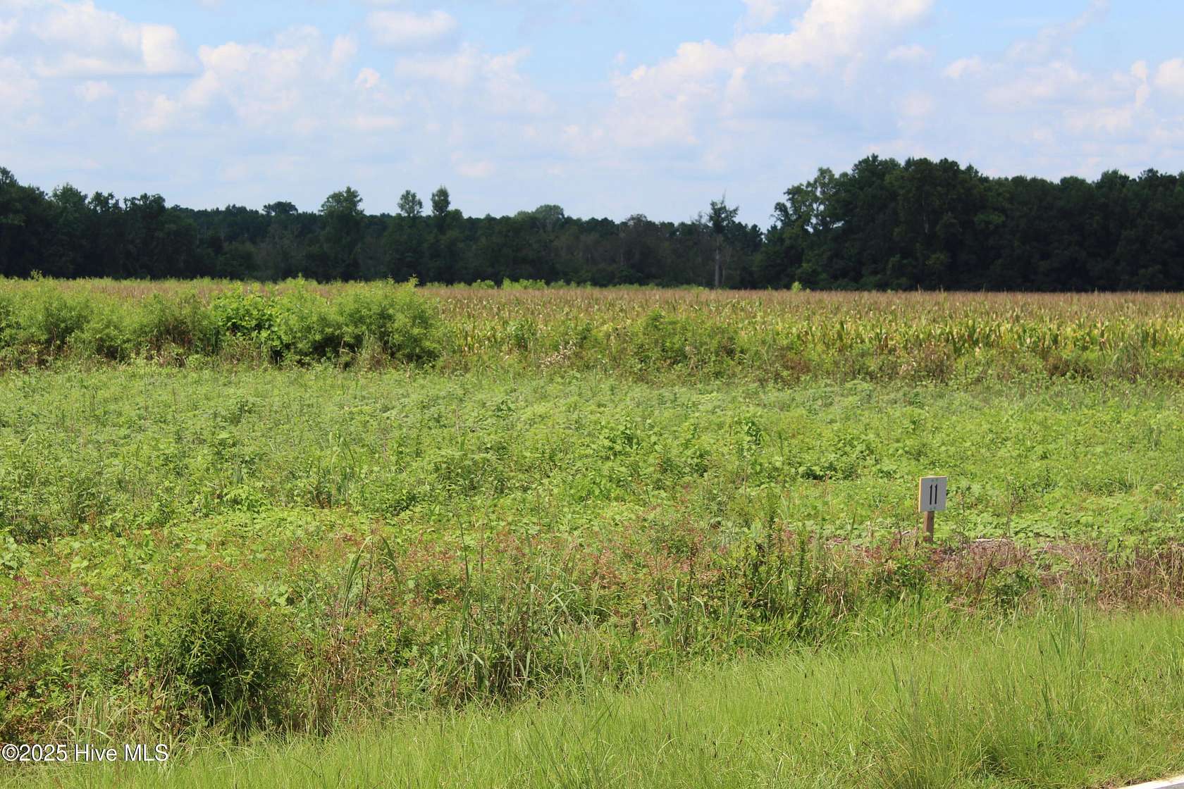 1.56 Acres of Residential Land for Sale in Kinston, North Carolina