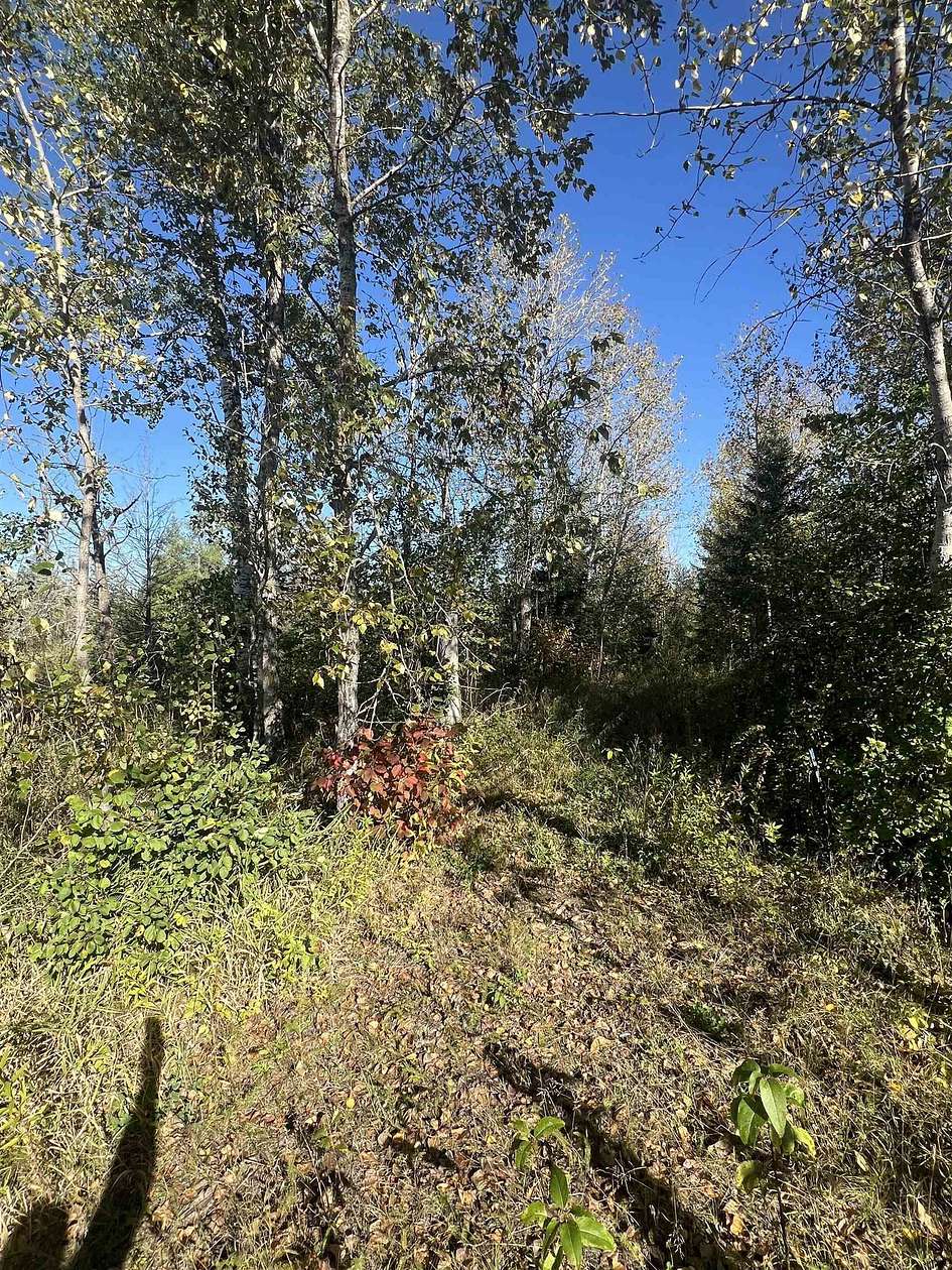 10 Acres of Recreational Land for Sale in Meadowlands, Minnesota