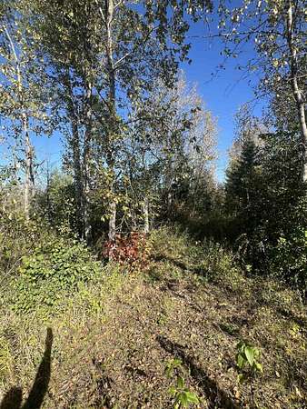 10 Acres of Recreational Land for Sale in Meadowlands, Minnesota