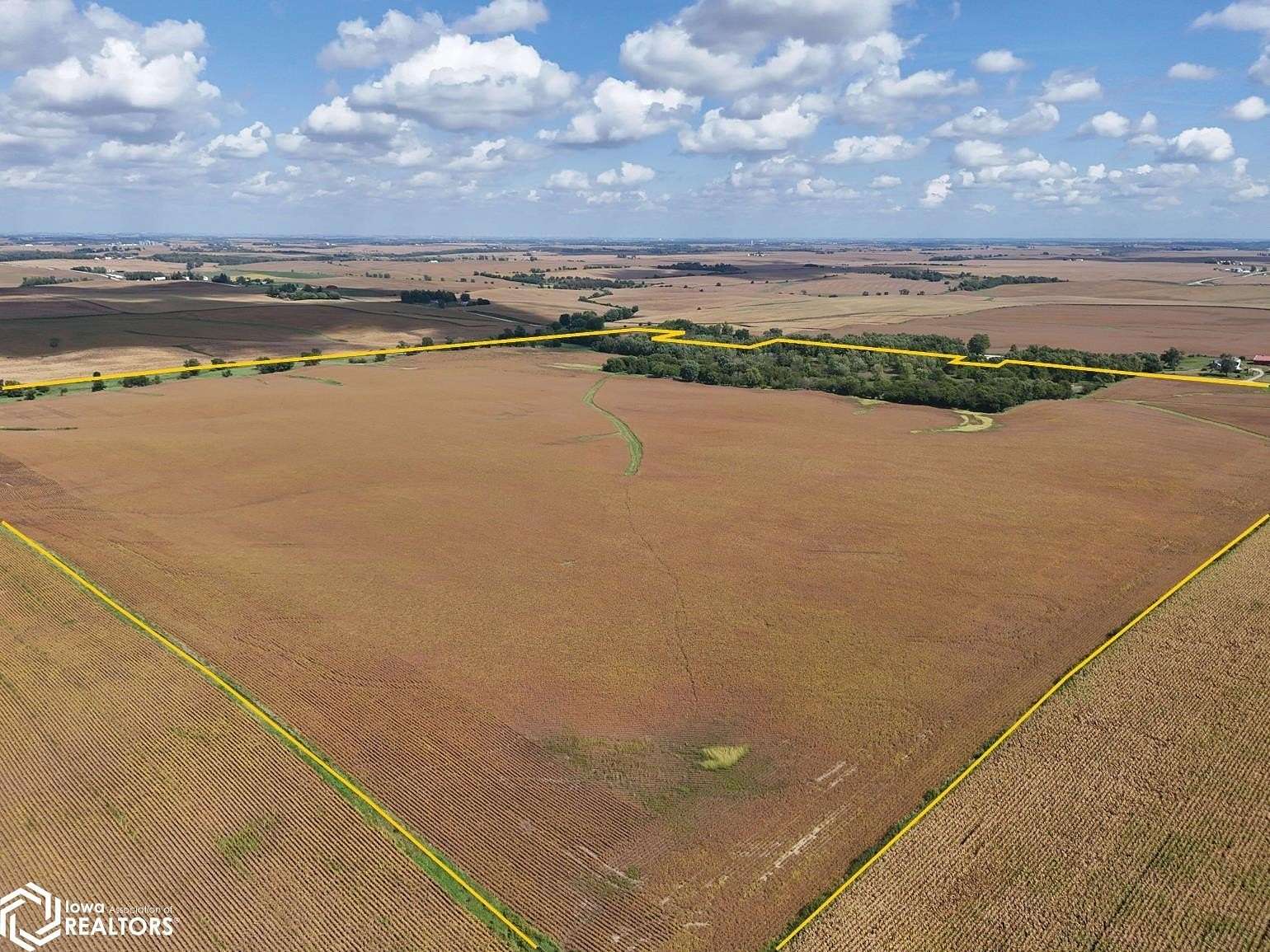 79 Acres of Recreational Land & Farm for Auction in Melbourne, Iowa