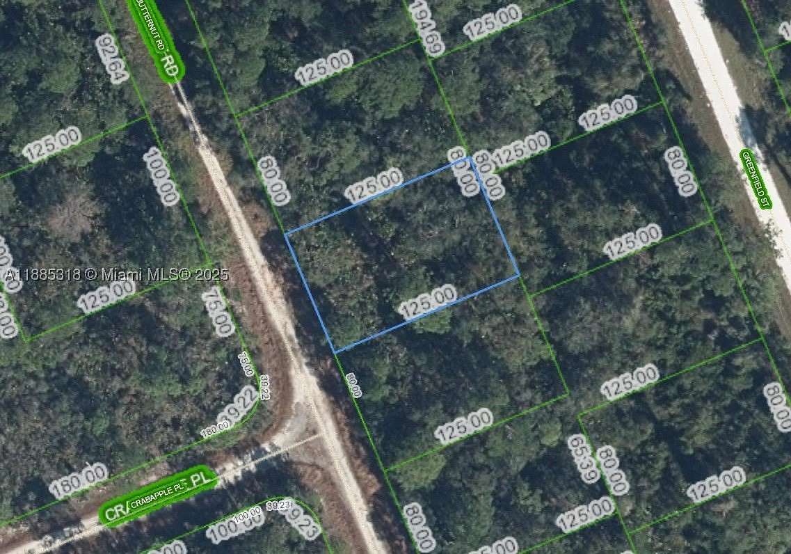 0.23 Acres of Residential Land for Sale in Lake Placid, Florida