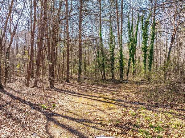 11 Acres of Land for Sale in Spartanburg, South Carolina