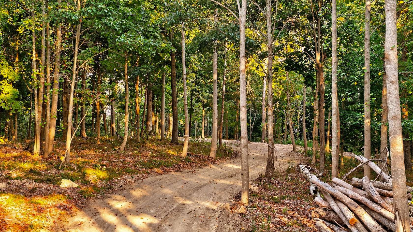 10.4 Acres of Land for Sale in Whites Creek, Tennessee