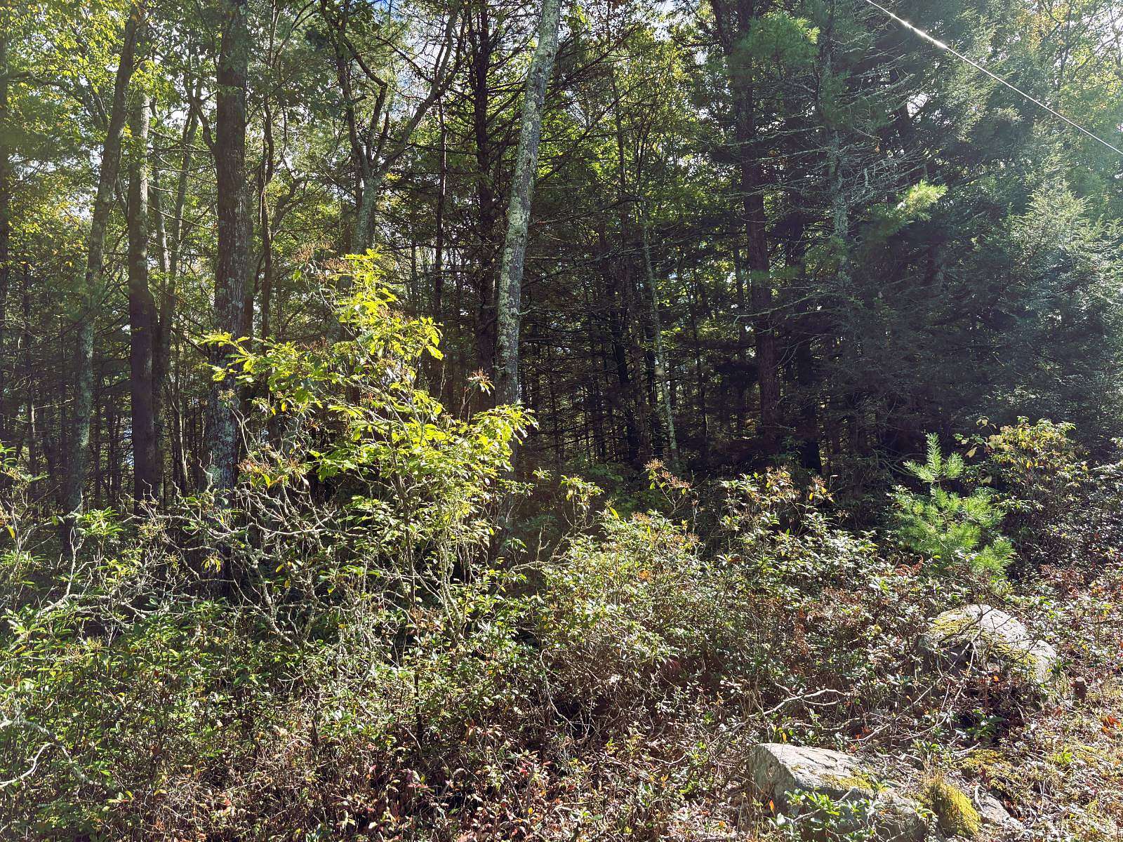 5.19 Acres of Residential Land for Sale in Bethel, New York