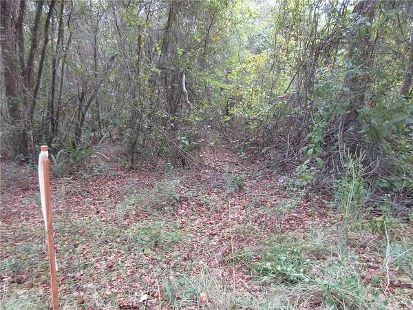 0.57 Acres of Residential Land for Sale in Silver Springs, Florida