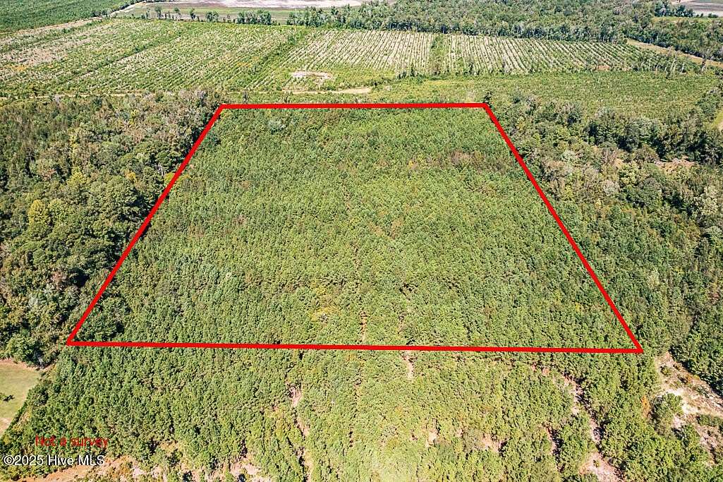 15.3 Acres of Land for Sale in Vanceboro, North Carolina