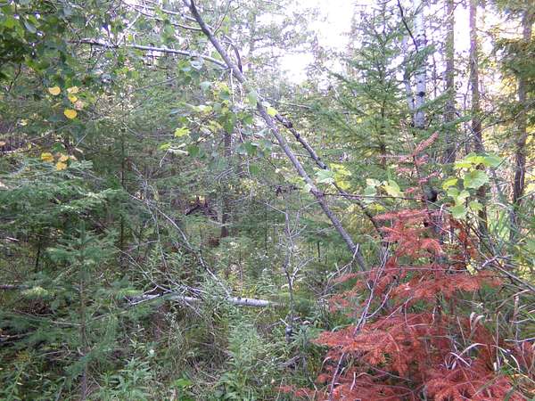 0.4 Acres of Land for Sale in Lachine, Michigan