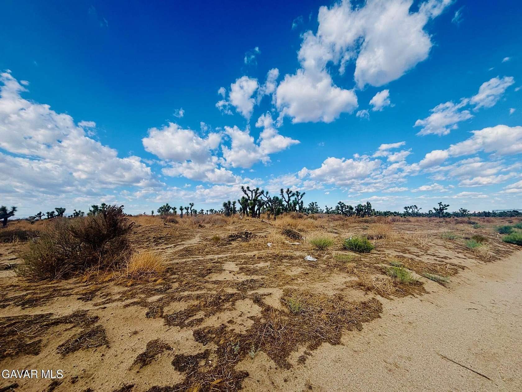1.29 Acres of Commercial Land for Sale in Palmdale, California