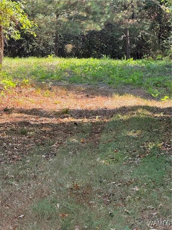 10 Acres of Mixed-Use Land for Sale in Tuscaloosa, Alabama