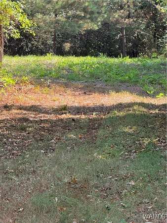 10 Acres of Mixed-Use Land for Sale in Tuscaloosa, Alabama