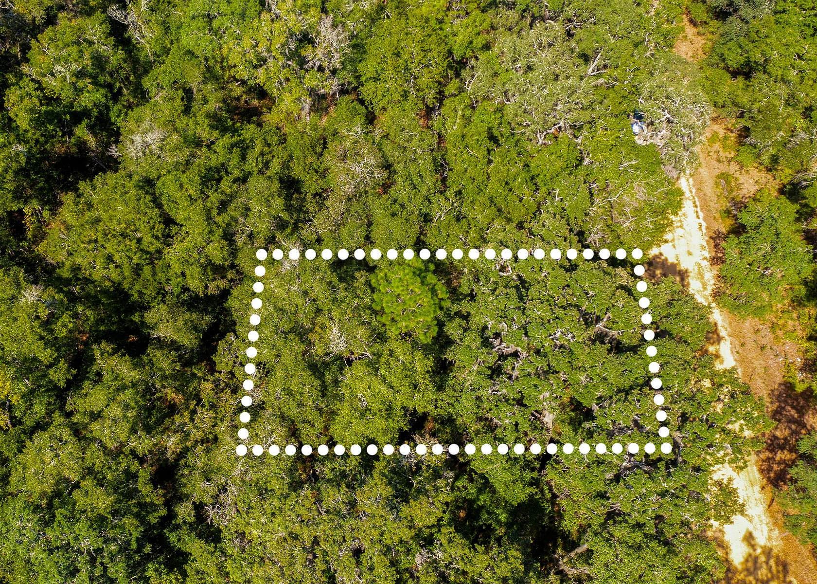 0.22 Acres of Residential Land for Sale in Interlachen, Florida