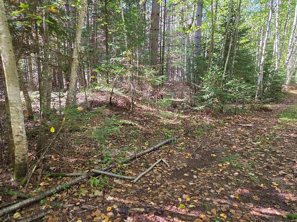 1.59 Acres of Land for Sale in Land O' Lakes, Wisconsin