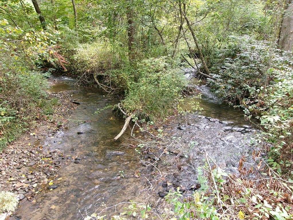 Land for Sale in Robbinsville, North Carolina