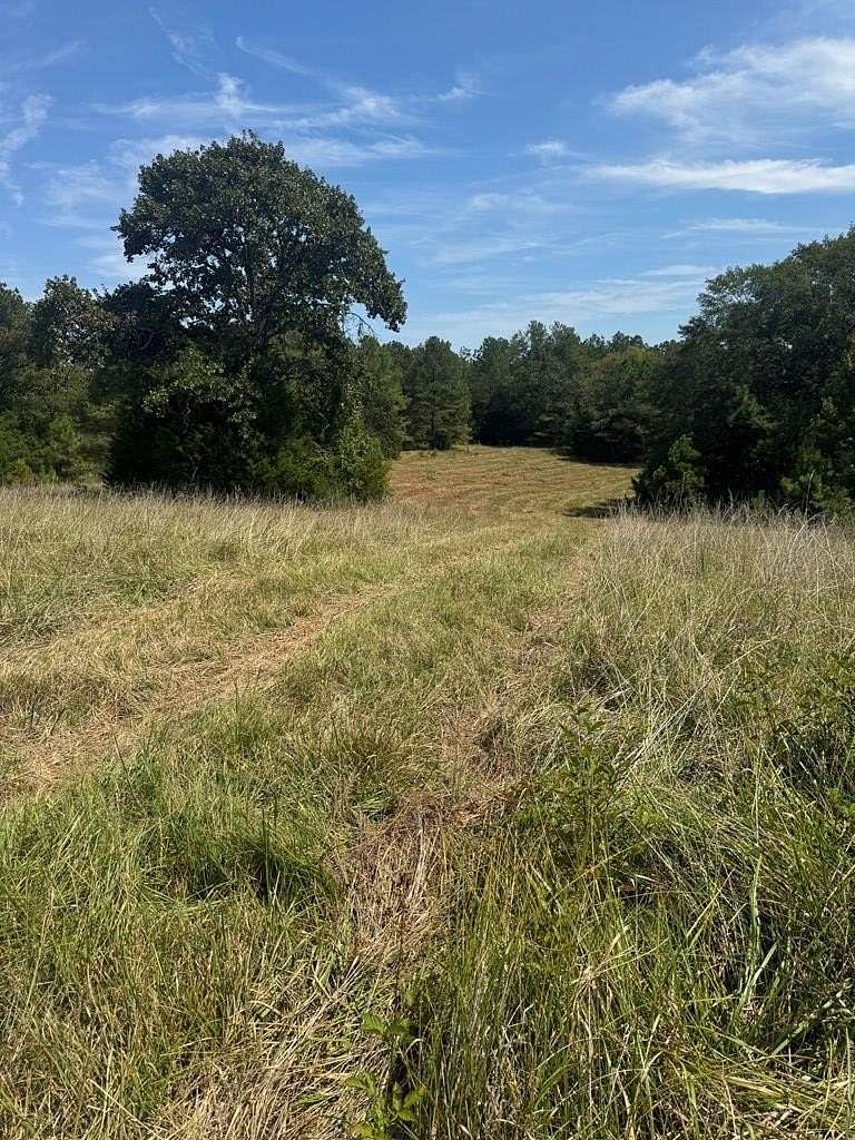 12 Acres of Agricultural Land for Sale in Oxford, Mississippi
