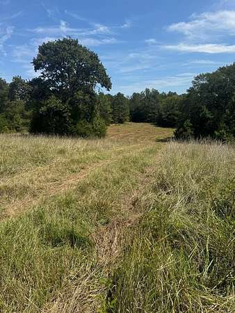 12 Acres of Agricultural Land for Sale in Oxford, Mississippi