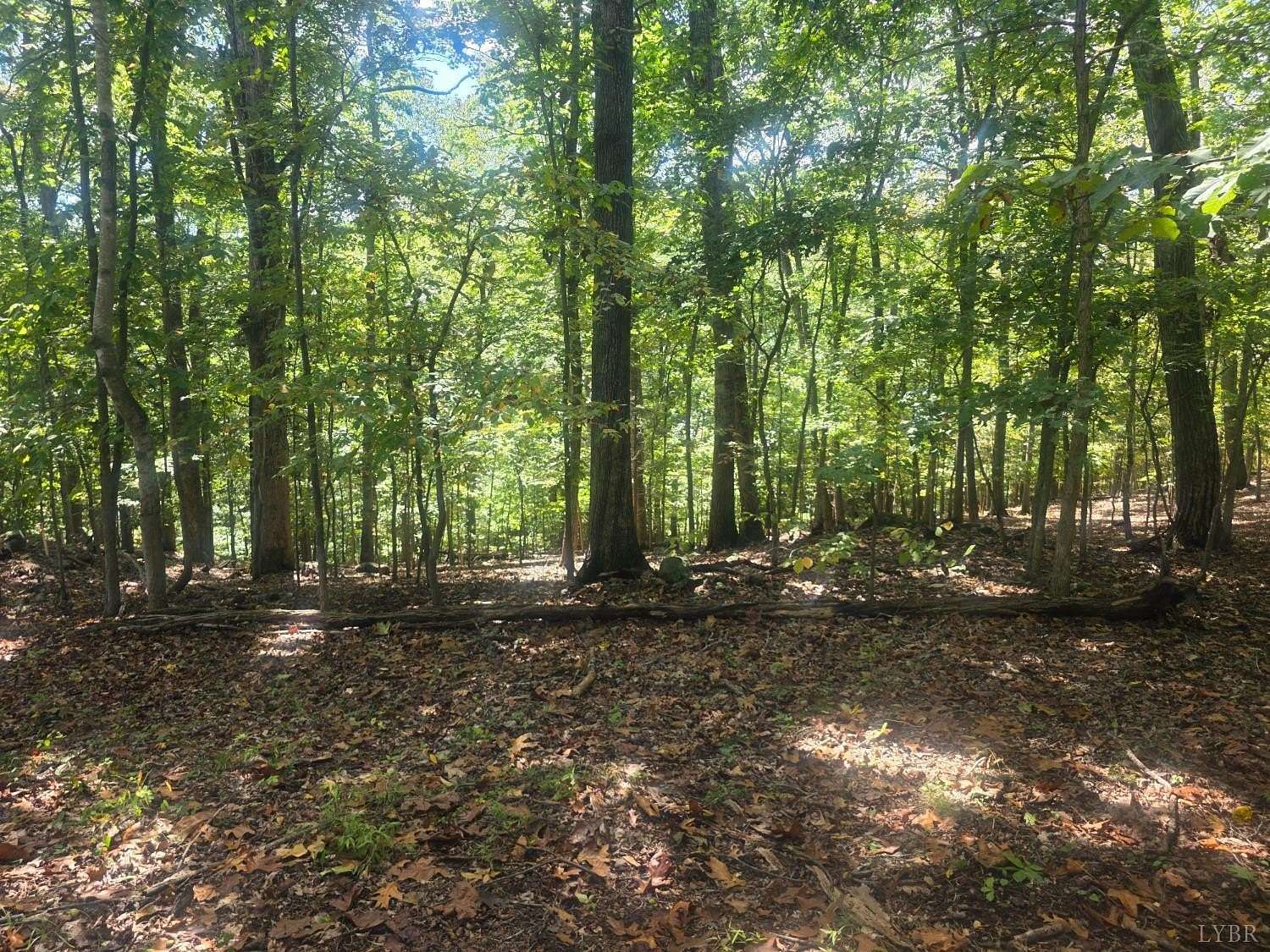 1 Acre of Residential Land for Sale in Lynchburg, Virginia