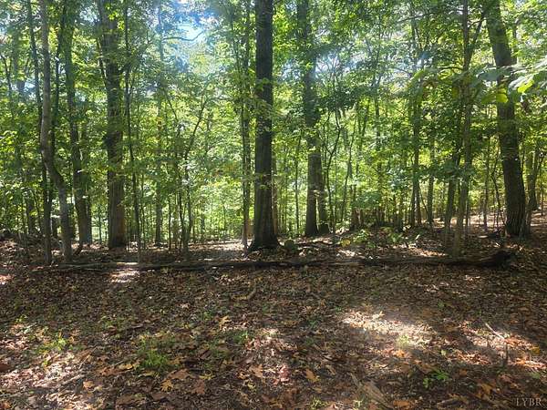 1 Acre of Residential Land for Sale in Lynchburg, Virginia