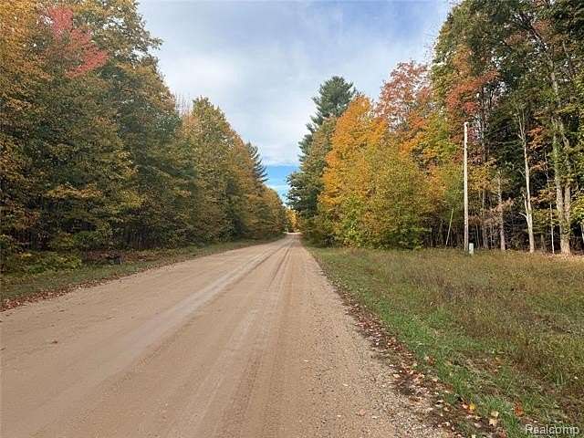 5 Acres of Residential Land for Sale in Kalkaska, Michigan