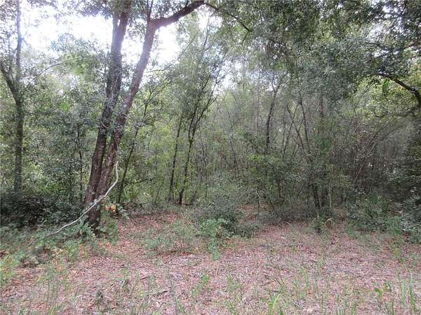 0.57 Acres of Residential Land for Sale in Silver Springs, Florida