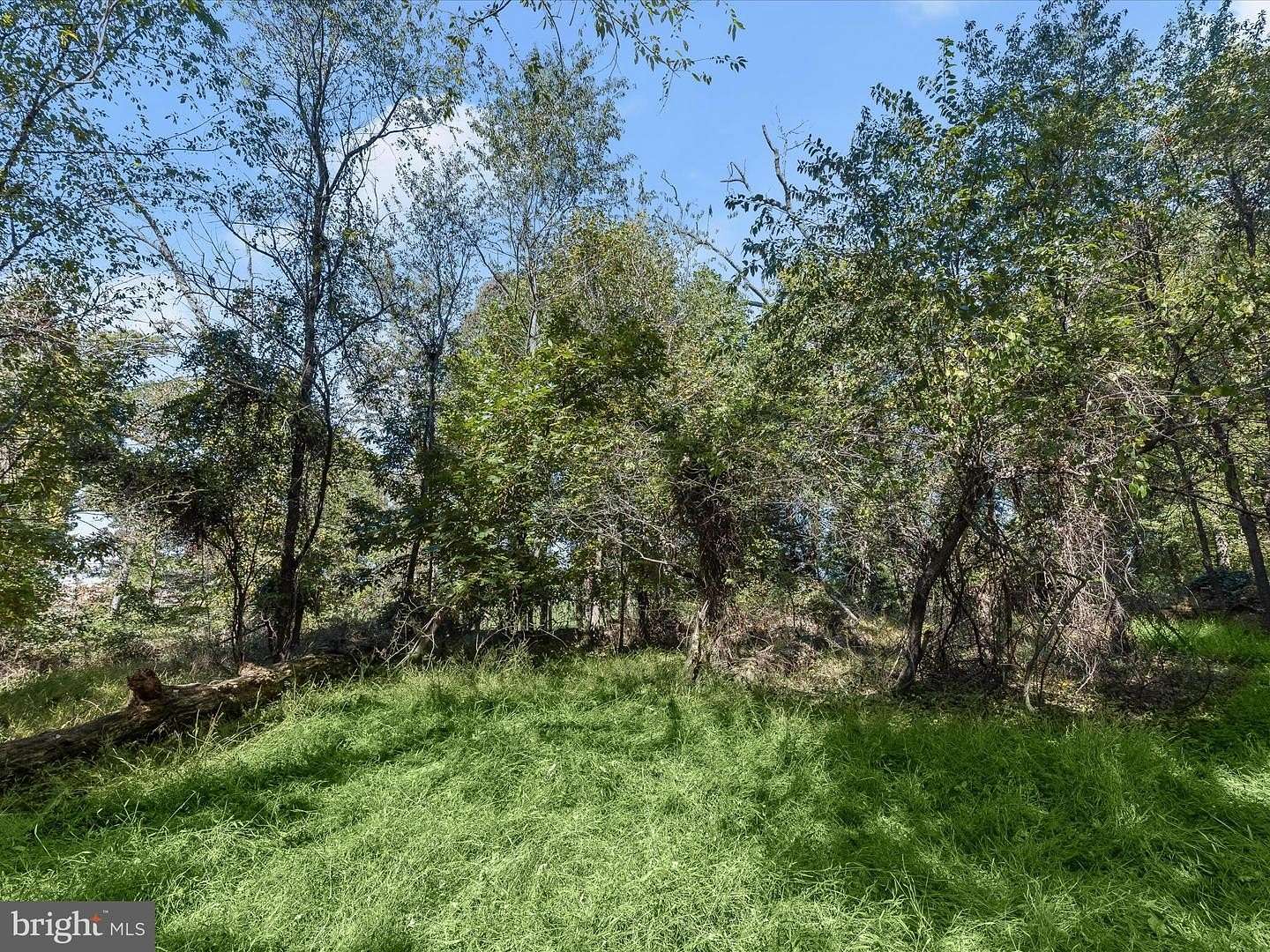 3 Acres of Residential Land for Sale in Glenwood, Maryland
