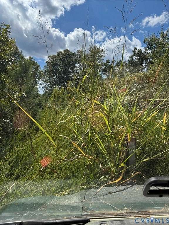 35 Acres of Agricultural Land for Sale in Dinwiddie, Virginia