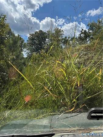 35 Acres of Agricultural Land for Sale in Dinwiddie, Virginia