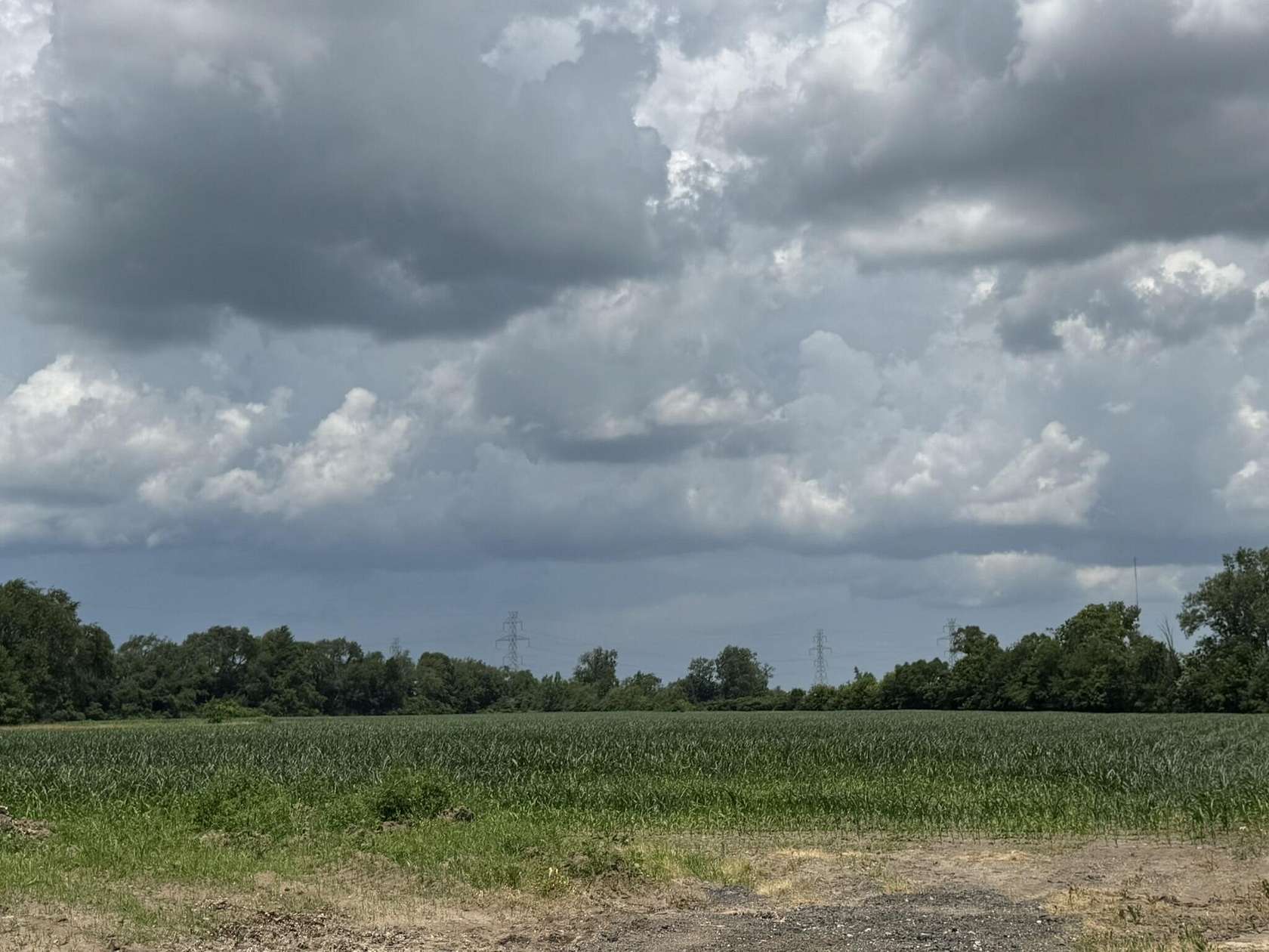 36.8 Acres of Land for Sale in New Carlisle, Indiana