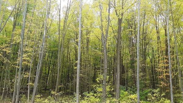 4 Acres of Land for Sale in Michigan City, Indiana