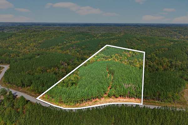 10 Acres of Recreational Land for Sale in Linden, Tennessee